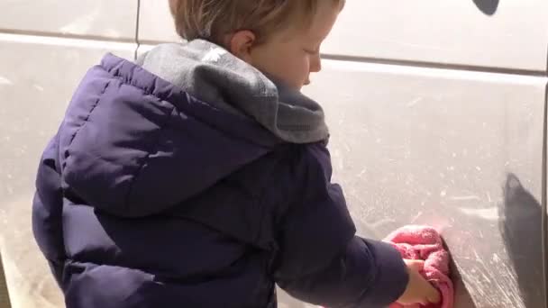 Little Boy Tvätta Bil — Stockvideo