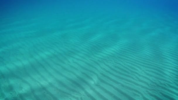 洋底波纹沙地的水下景观 — 图库视频影像