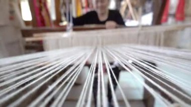 Dişi dokumacı iplikleri dikleşmeye hazırlıyor..