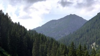 Yazın güneşli bir günde bulutlu gökyüzüne karşı dağları olan yeşil kozalaklı bir orman.