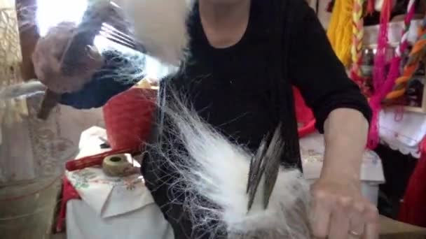 Weaver Female Prepares Threads Looming — Stock Video