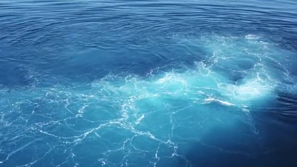 Olas Espumosas Agua Azul Del Mar Día Soleado — Vídeo de stock