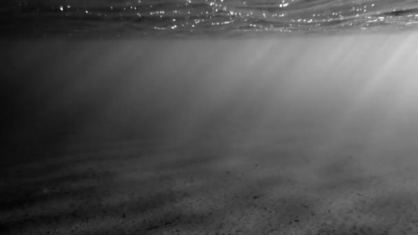 Сонячне Світло Стисненому Піску Дні Океанської Підлоги — стокове відео