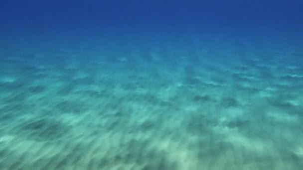 洋底波纹沙滩上的阳光 — 图库视频影像