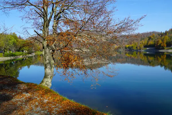 Malebná Podzimní Scéna Slunečného Dne Jezera Chorvatském Městě Fuzine — Stock fotografie