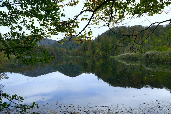 Jasný Odraz Podzimního Lesa Vodě Jezera Uprostřed Podzimu Evropském Kontinentu — Stock fotografie