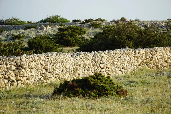 田舎の石壁に沿った緑の植生で 島の人々がいない — ストック写真