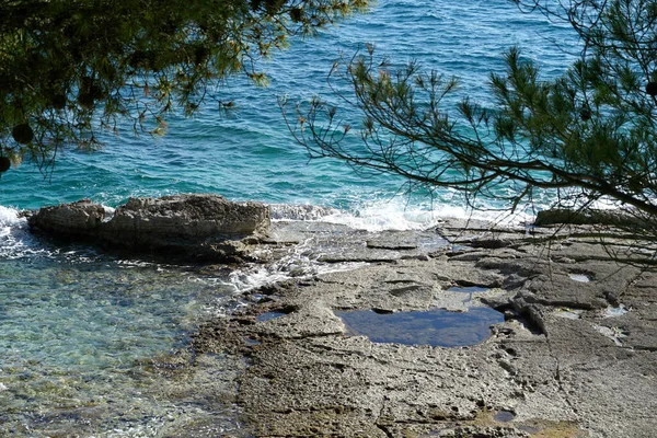 Steinige Meeresküste Mit Türkisfarbenem Meerwasser Und Steinstrand Umrahmt Von Kiefernzweigen — Stockfoto