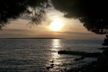 Çam ağacı dallarının silueti denizin üzerinde yumuşak ve sisli bir günbatımının önünde.