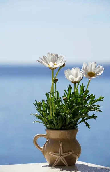Spring flowers in a small vase on the background of the blurred blue sky. Summer concept with starfish and blue background.