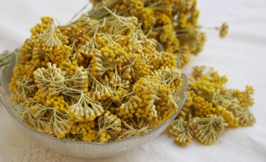 Doğal kozmetik ürünleri için kurutma ve aromatik yağ ve hidrolatinler üretimi için hazırlanmış ölümsüz fabrika.