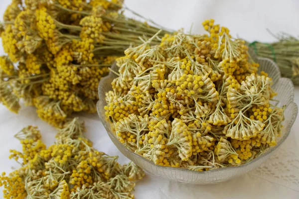Doğal kozmetik ürünleri ve tıbbi malzemeler yapmak için hazırlanmış sarı buğday tomurcukları.