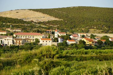 Hırvatistan 'ın Pag Adası' ndaki Kolan kenti koyun yetiştiriciliği ve koyun peynirleriyle ünlüdür.