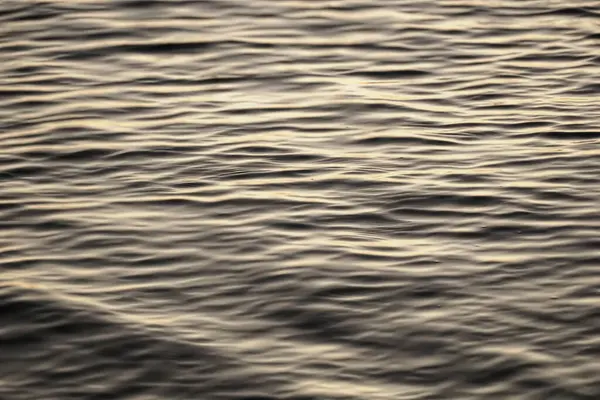 Wavy water surface abstract illustration of wavy surface