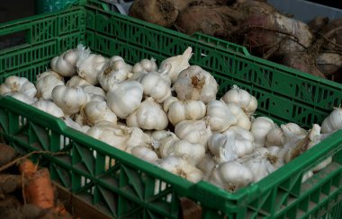 Organik olarak yetiştirilmiş sağlıklı sarımsak, hasat edilmiş ve bir sokak pazarında satılmaya hazır.