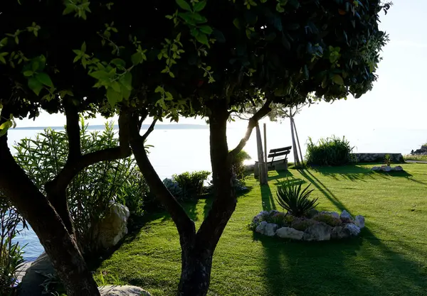 Deniz kenarında yeşil bahçeli Akdeniz gezintisi ve dinlenmek ve eğlenmek için bank