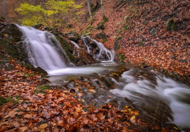 Dağdaki bir sonbahar ormanında şelale