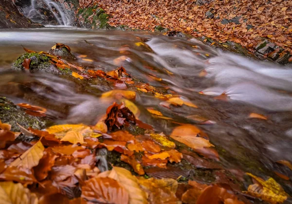 Wasserfall Einem Herbstlichen Bergwald — Stockfoto
