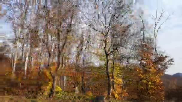 Ein Geländewagen Fährt Durch Einen Herbstlichen Bergwald — Stockvideo