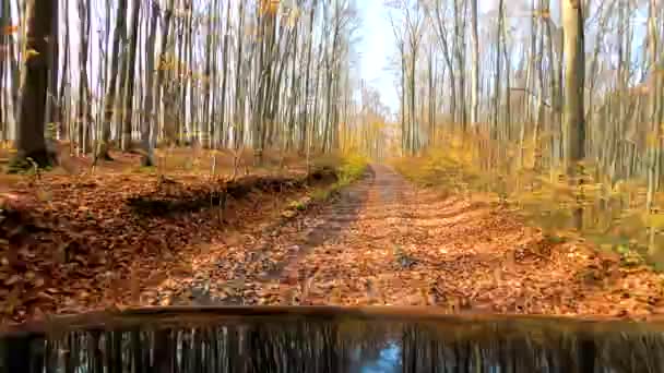 Pojazd Terenowy Przejeżdża Przez Jesienny Las Górski — Wideo stockowe