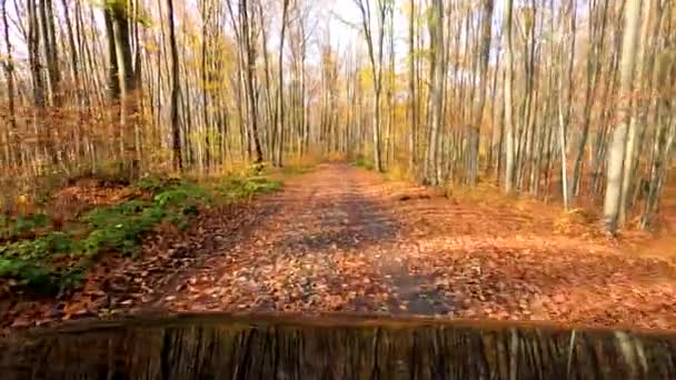 Bir Road Aracı Bir Dağ Sonbahar Ormanından Geçiyor — Stok video