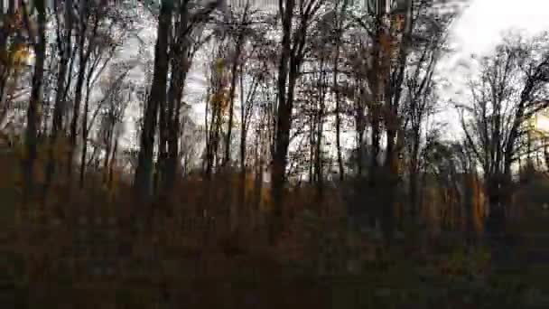 Ein Geländewagen Fährt Durch Einen Herbstlichen Bergwald — Stockvideo