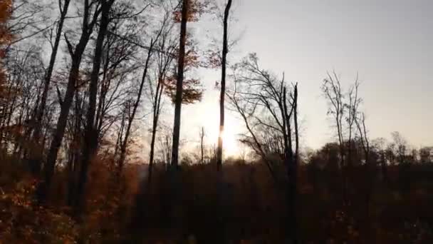 Bir Road Aracı Bir Dağ Sonbahar Ormanından Geçiyor — Stok video