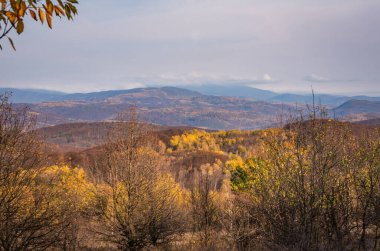 Karpat Dağları 'nda sonbahar manzarası