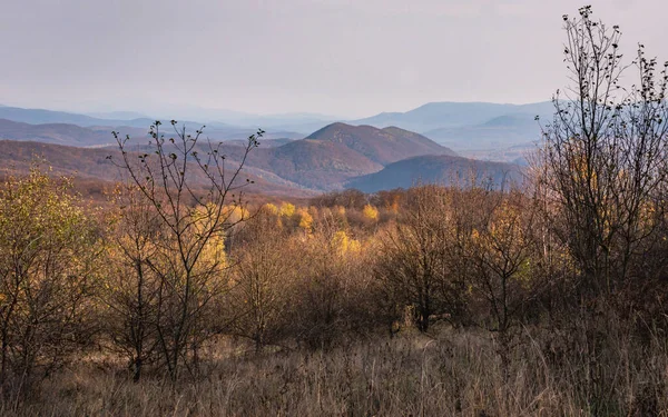 Φθινοπωρινό Τοπίο Στα Καρπάθια Βουνά — Φωτογραφία Αρχείου