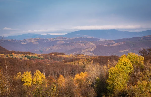 Peisaj Toamnă Munții Carpați — Fotografie, imagine de stoc