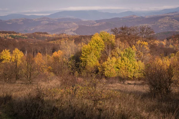 Karpat Dağları Nda Sonbahar Manzarası — Stok fotoğraf