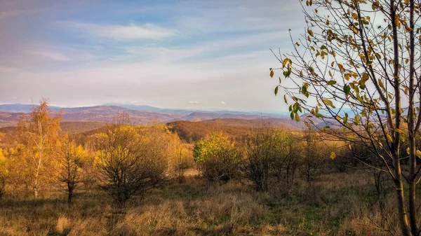 Karpat Dağları Nda Sonbahar Manzarası — Stok fotoğraf