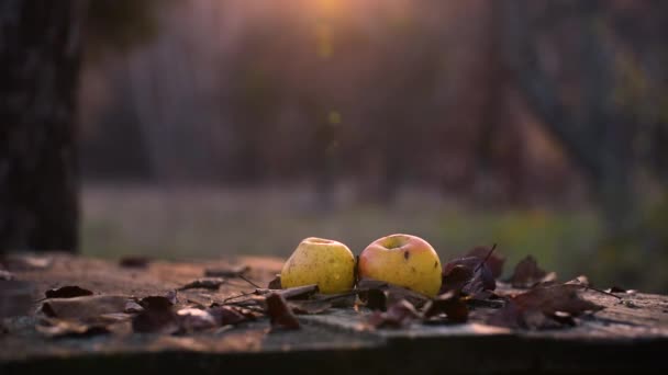 Paisaje Con Manzanas Sobre Una Mesa Jardín Abandonado — Vídeos de Stock