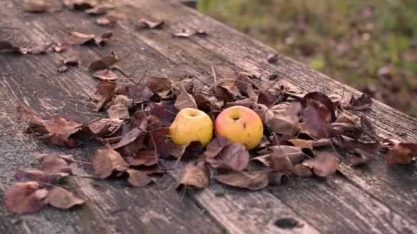 Landschap Met Appels Een Tafel Een Verlaten Tuin — Stockvideo