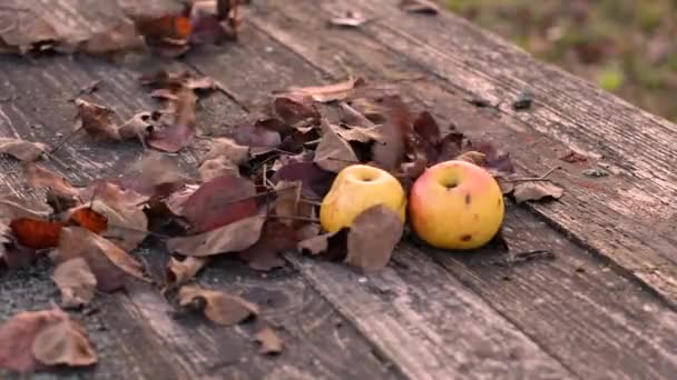 放棄された庭のテーブルの上にリンゴと風景 — ストック動画