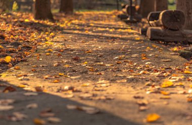 Eski sonbahar parkında güzel bir ara sokak