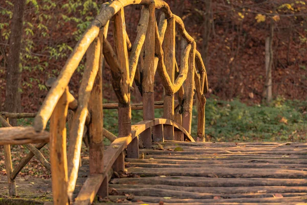 Eski Sonbahar Parkında Ahşap Köprü — Stok fotoğraf