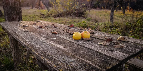 在荒废的花园里 桌上放着苹果的风景 — 图库照片