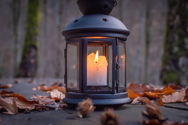 숲에서 위에서 촛불을 — 스톡 사진