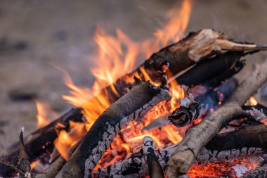 Sonbahar gölünün kıyısında şenlik ateşi