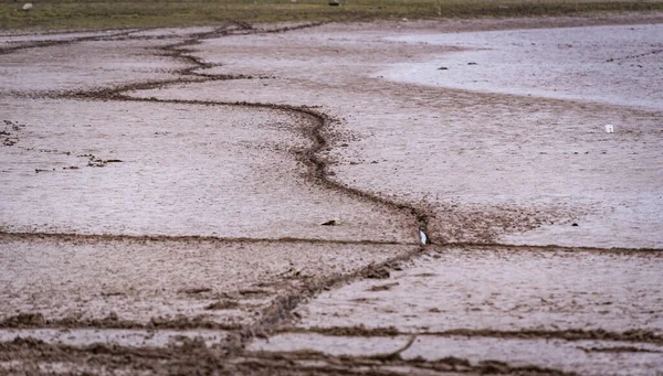 Üzerinde Ayak Izleri Olan Kurumuş Bir Göl Manzarası — Stok fotoğraf