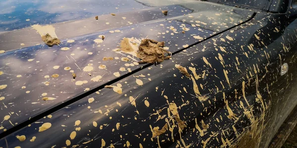 stock image SUV splattered with mud from offroad driving