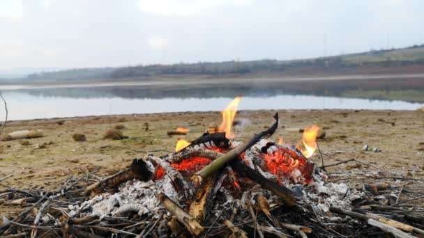 Oheň Břehu Podzimního Jezera — Stock video