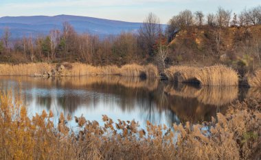 Gün batımında gölün kıyısında kuru sazlıklar.
