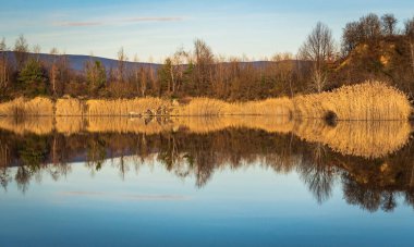 Gün batımında gölün kıyısında kuru sazlıklar.