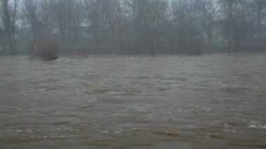 Yağmurda akan bir dağ nehrinin sisli manzarası