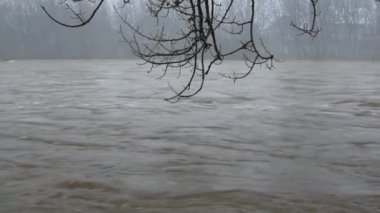 Yağmurda akan bir dağ nehrinin sisli manzarası