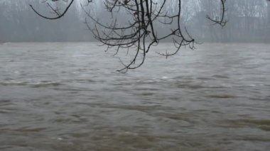 Yağmurda akan bir dağ nehrinin sisli manzarası