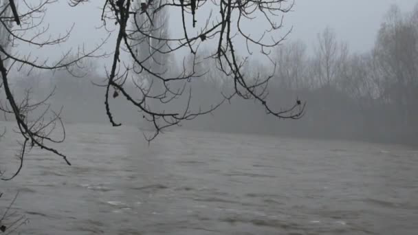 Mlhavá Krajina Plné Tekoucí Horské Řeky Dešti — Stock video