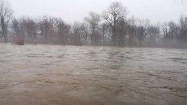 Yağmurda akan bir dağ nehrinin sisli manzarası